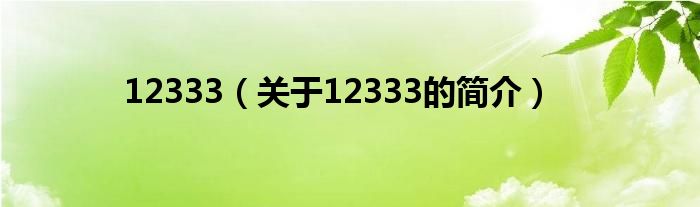 12333（關(guān)于12333的簡(jiǎn)介）