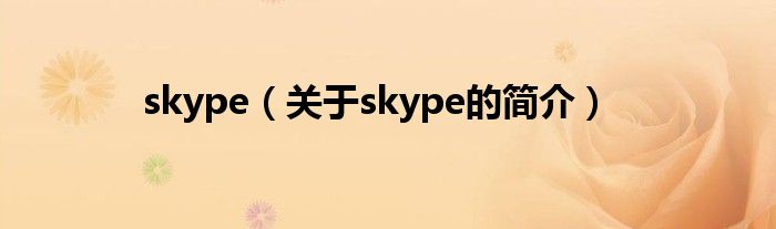 skype（關(guān)于skype的簡介）