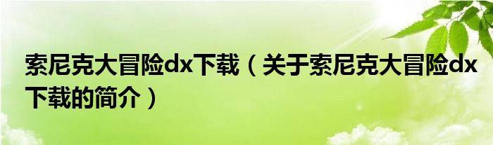 索尼克大冒險(xiǎn)dx下載（關(guān)于索尼克大冒險(xiǎn)dx下載的簡(jiǎn)介）