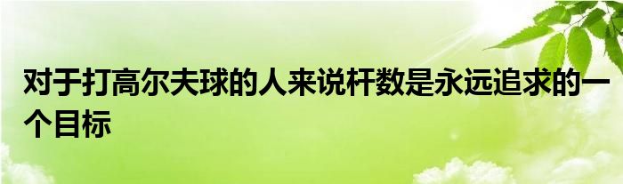 對于打高爾夫球的人來說桿數(shù)是永遠(yuǎn)追求的一個(gè)目標(biāo)