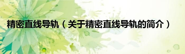 精密直線導(dǎo)軌（關(guān)于精密直線導(dǎo)軌的簡介）