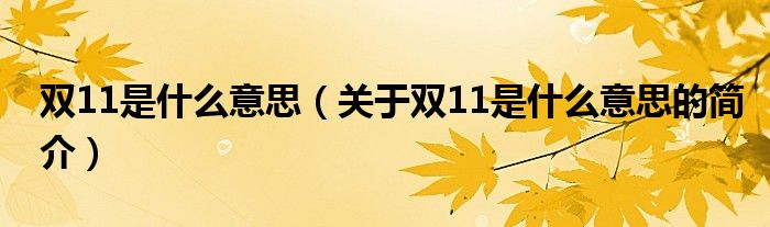 雙11是什么意思（關(guān)于雙11是什么意思的簡(jiǎn)介）