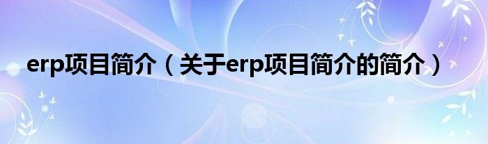 erp項目簡介（關于erp項目簡介的簡介）