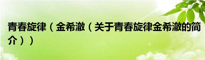 青春旋律（金希澈（關(guān)于青春旋律金希澈的簡介））