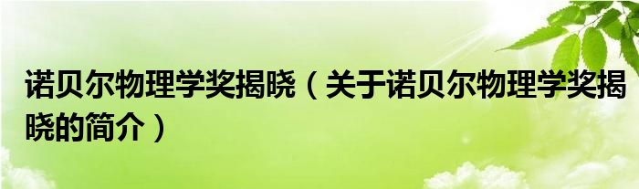 諾貝爾物理學獎揭曉（關(guān)于諾貝爾物理學獎揭曉的簡介）