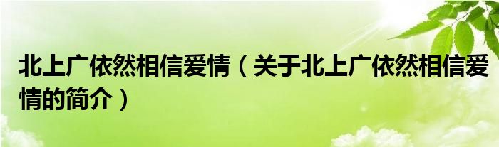 北上廣依然相信愛情（關(guān)于北上廣依然相信愛情的簡介）