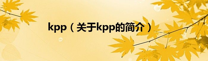 kpp（關(guān)于kpp的簡介）