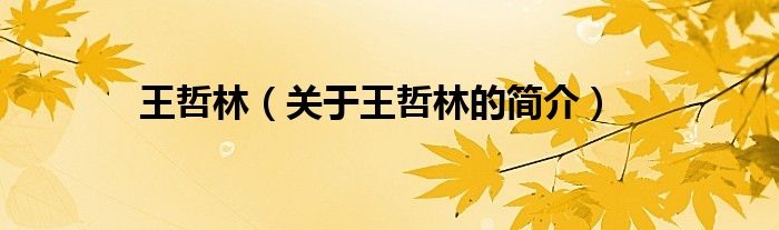 王哲林（關(guān)于王哲林的簡(jiǎn)介）