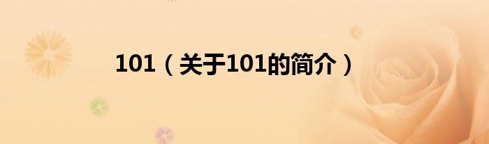 101（關(guān)于101的簡介）