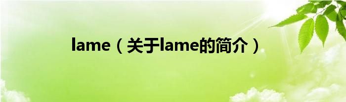 lame（關(guān)于lame的簡(jiǎn)介）