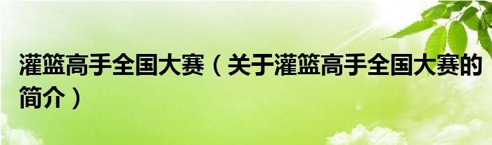 灌籃高手全國大賽（關于灌籃高手全國大賽的簡介）