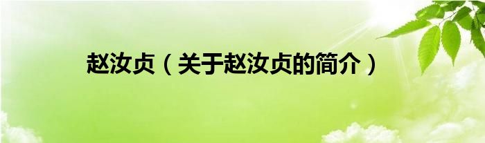 趙汝貞（關(guān)于趙汝貞的簡(jiǎn)介）