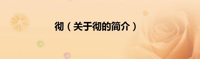 徹（關(guān)于徹的簡(jiǎn)介）