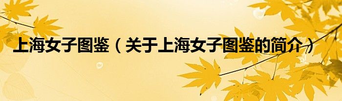 上海女子圖鑒（關(guān)于上海女子圖鑒的簡(jiǎn)介）