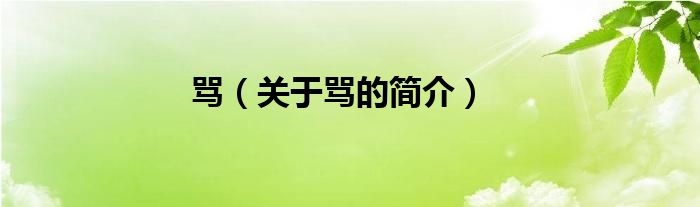 罵（關(guān)于罵的簡(jiǎn)介）