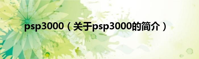 psp3000（關(guān)于psp3000的簡介）