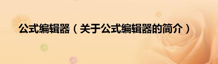 公式編輯器（關(guān)于公式編輯器的簡(jiǎn)介）