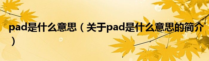 pad是什么意思（關(guān)于pad是什么意思的簡(jiǎn)介）