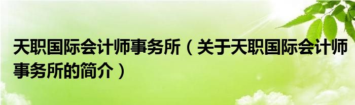 天職國際會(huì)計(jì)師事務(wù)所（關(guān)于天職國際會(huì)計(jì)師事務(wù)所的簡(jiǎn)介）