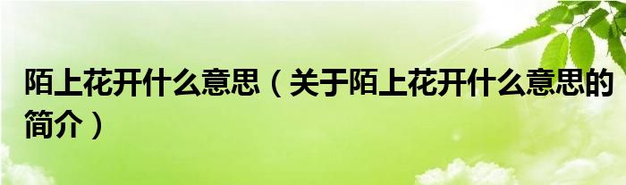 陌上花開什么意思（關(guān)于陌上花開什么意思的簡介）