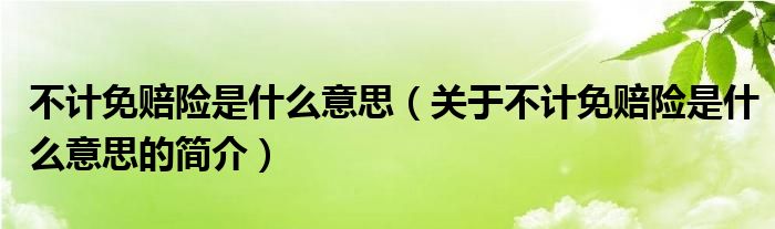 不計免賠險是什么意思（關(guān)于不計免賠險是什么意思的簡介）