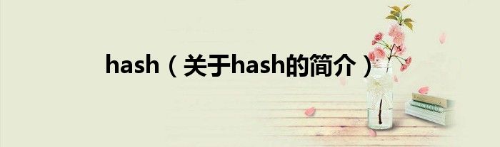 hash（關(guān)于hash的簡(jiǎn)介）