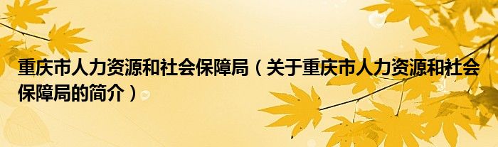 重慶市人力資源和社會保障局（關于重慶市人力資源和社會保障局的簡介）