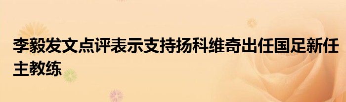 李毅發(fā)文點(diǎn)評(píng)表示支持揚(yáng)科維奇出任國足新任主教練