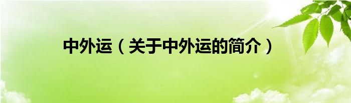 中外運(yùn)（關(guān)于中外運(yùn)的簡(jiǎn)介）