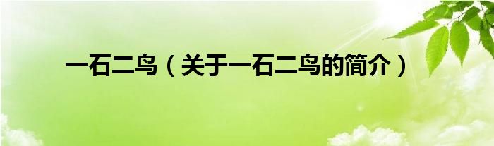 一石二鳥(niǎo)（關(guān)于一石二鳥(niǎo)的簡(jiǎn)介）