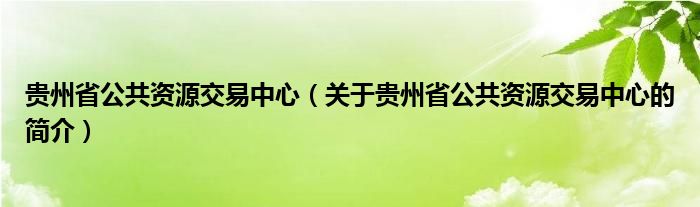 貴州省公共資源交易中心（關(guān)于貴州省公共資源交易中心的簡介）