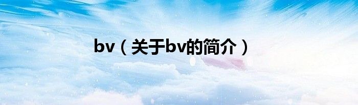 bv（關(guān)于bv的簡(jiǎn)介）