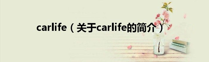 carlife（關(guān)于carlife的簡(jiǎn)介）