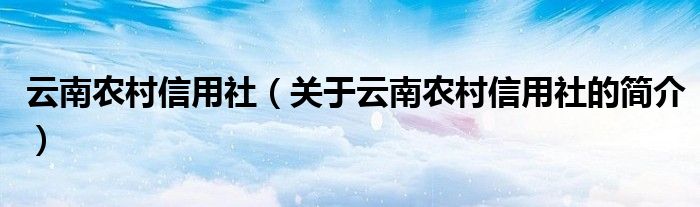 云南農村信用社（關于云南農村信用社的簡介）