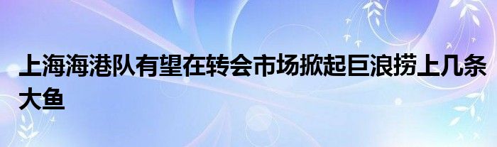 上海海港隊(duì)有望在轉(zhuǎn)會(huì)市場(chǎng)掀起巨浪撈上幾條大魚(yú)