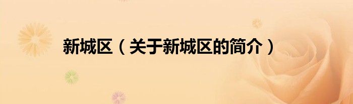 新城區(qū)（關(guān)于新城區(qū)的簡(jiǎn)介）