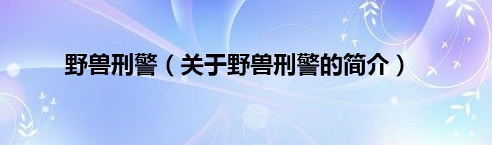 野獸刑警（關(guān)于野獸刑警的簡(jiǎn)介）