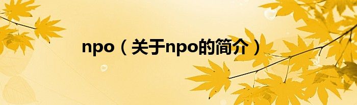 npo（關于npo的簡介）