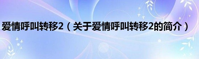 愛情呼叫轉移2（關于愛情呼叫轉移2的簡介）