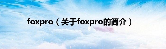 foxpro（關(guān)于foxpro的簡介）