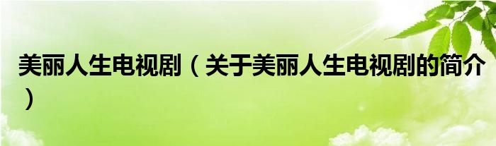 美麗人生電視?。P(guān)于美麗人生電視劇的簡介）