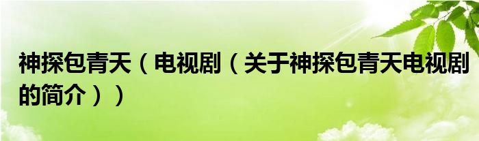 神探包青天（電視劇（關(guān)于神探包青天電視劇的簡介））