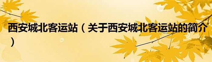 西安城北客運站（關(guān)于西安城北客運站的簡介）