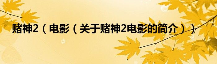 賭神2（電影（關(guān)于賭神2電影的簡(jiǎn)介））