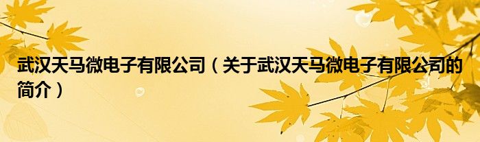 武漢天馬微電子有限公司（關(guān)于武漢天馬微電子有限公司的簡介）