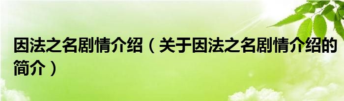 因法之名劇情介紹（關(guān)于因法之名劇情介紹的簡介）