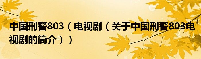 中國刑警803（電視?。P(guān)于中國刑警803電視劇的簡介））