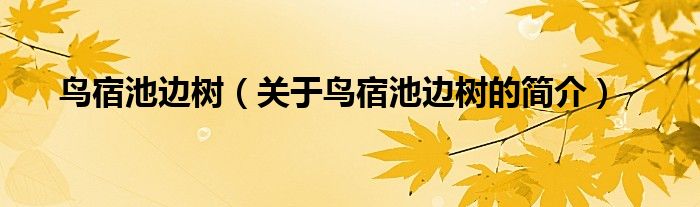 鳥宿池邊樹（關于鳥宿池邊樹的簡介）