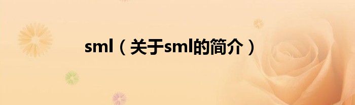 sml（關于sml的簡介）