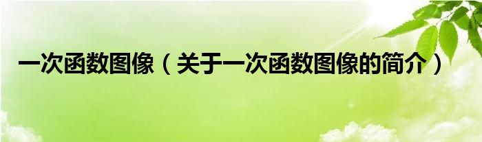 一次函數(shù)圖像（關(guān)于一次函數(shù)圖像的簡(jiǎn)介）